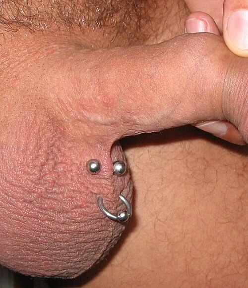 Body Piercing Showcase
